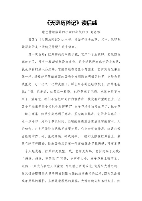 高嘉佑—《天鹅历险记》读后感 (1)