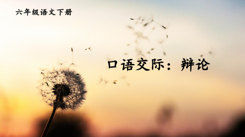 部编版六年级语文下册口语交际《辩论》精美课件(共18张PPT)