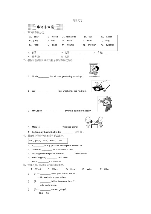 人教PEP六年级下册期末复习(含答案)【名师】.doc