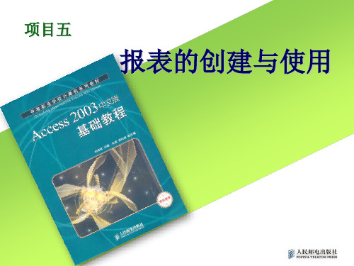 项目5_报表的创建与使用