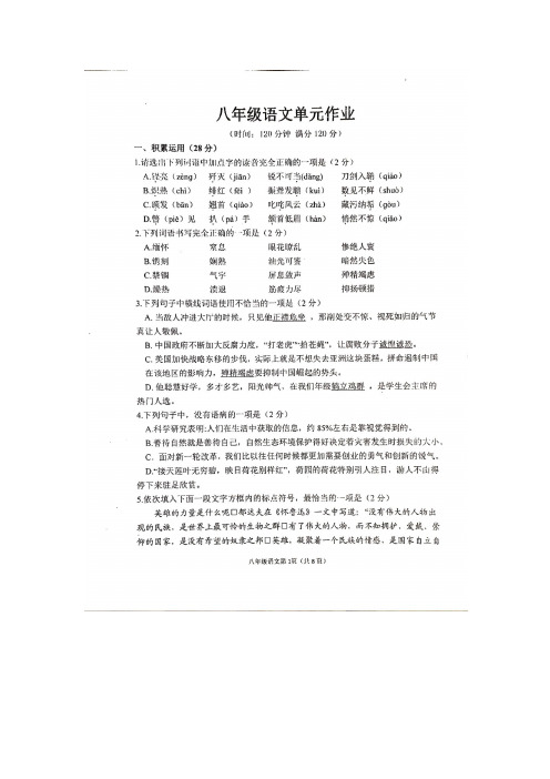 山东省临沂市沂水县2020-2021学年八年级上学期期中考试(单元测试)语文试题(图片版)