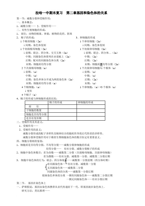 高一生物必修2第二章基因和染色体的关系(教案+测试题+答案+课后答案)_2
