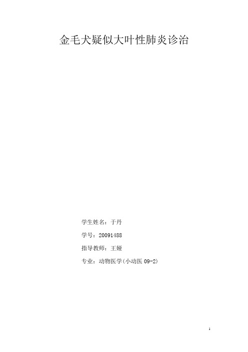 金毛犬大叶性肺炎诊治病例报告