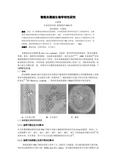 葡萄灰霉病生物学特性研究11-3
