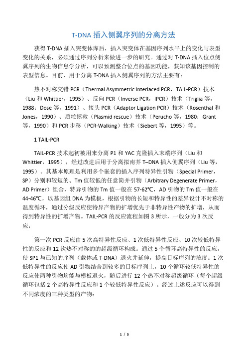 T-DNA插入侧翼序列的分离方法