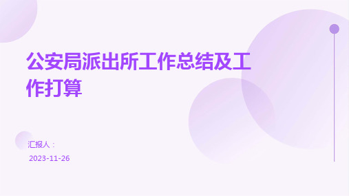 公安局派出所工作总结及工作打算