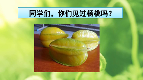 部编版小学语文 二年级下册  13 画杨桃