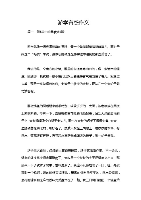 游学有感作文