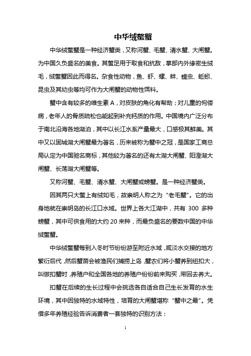 中华绒螯蟹