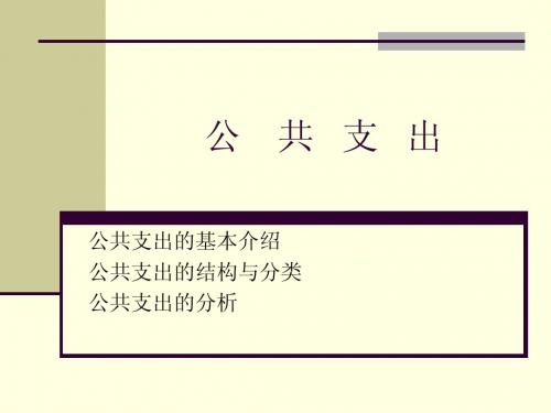 公 共 支 出