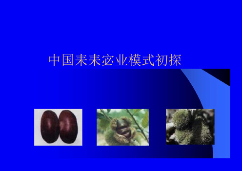 我国推进农业现代化应重点注意问题