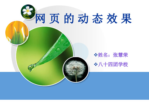 添加动态效果-讲课PPT