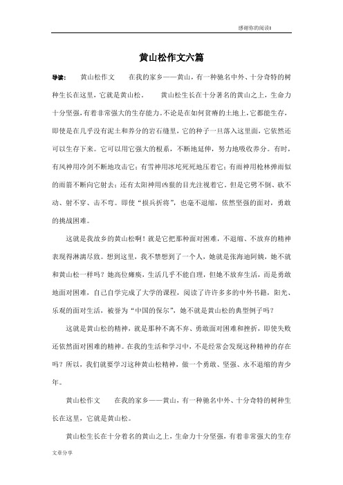 黄山松作文六篇