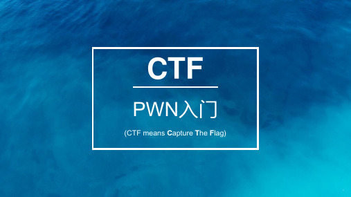 CTF比赛PWN入门