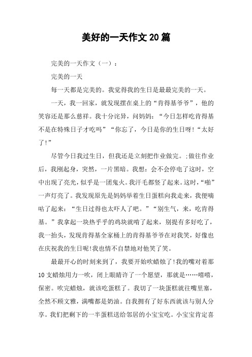 美好的一天作文20篇