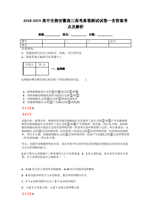 2018-2019高中生物安徽高三高考真卷测试试卷一含答案考点及解析