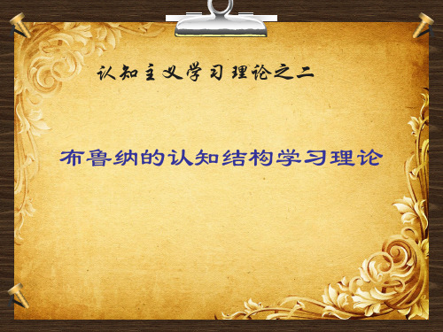 08第一章第二节(布鲁纳)