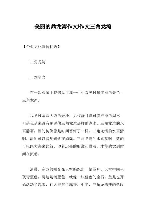 美丽的鼎龙湾作文-作文三角龙湾