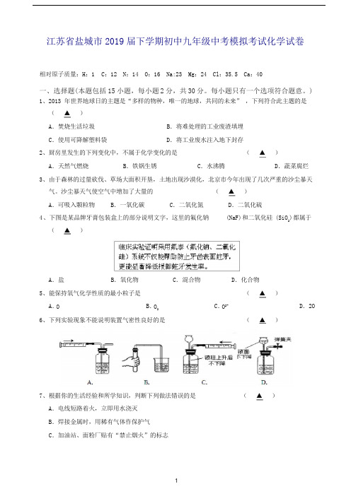 (人教版)江苏省盐城市2019届下学期初中九年级中考模拟考试化学试卷(推荐).doc