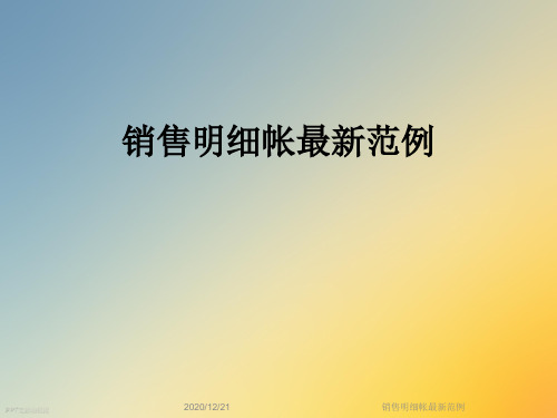 销售明细帐最新范例