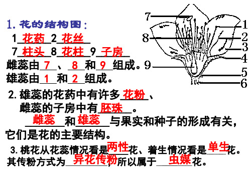 济南版生物八年级上册重点图复习