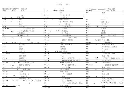 仁爱版初三英语总复习专题训练词组归纳