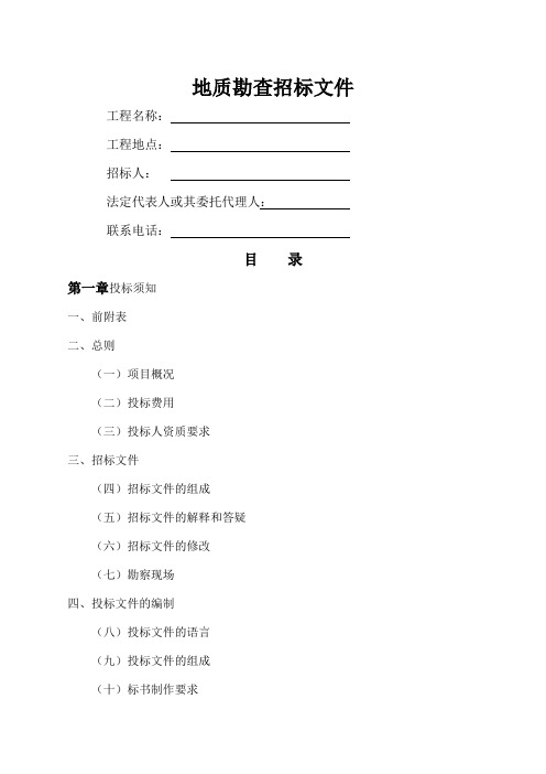 地质勘查招标文件
