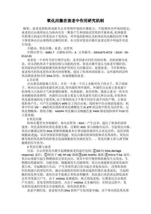 氧化应激在衰老中作用研究机制
