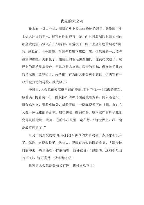 我家的大公鸡