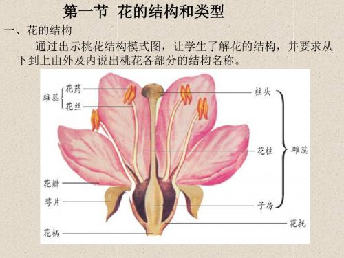 八年级上生物全册课件 PPT课件(花的结构与类型等21个) 济南版