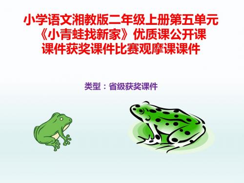 小学语文湘教版二年级上册第五单元《小青蛙找新家》优质课公开课课件获奖课件比赛观摩课课件B003