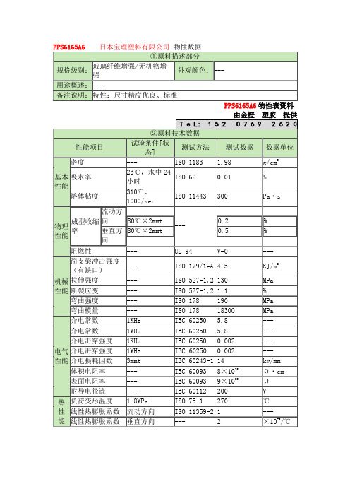 PPS6165A6