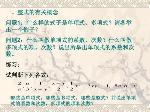 整式数学复习