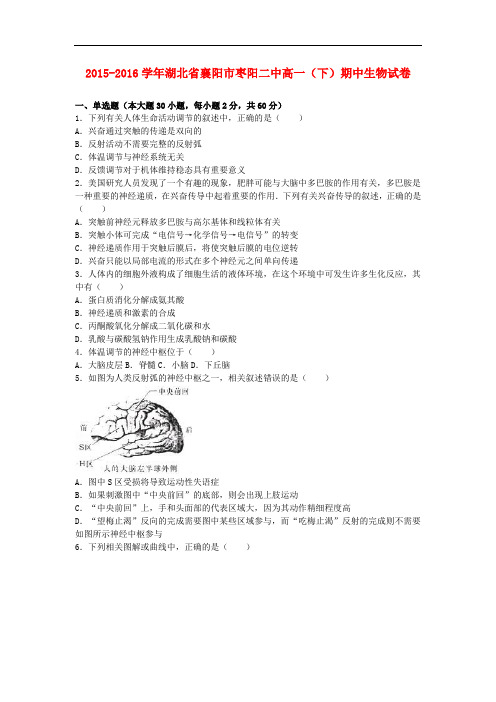 湖北省襄阳市枣阳二中高一生物下学期期中试卷(含解析)
