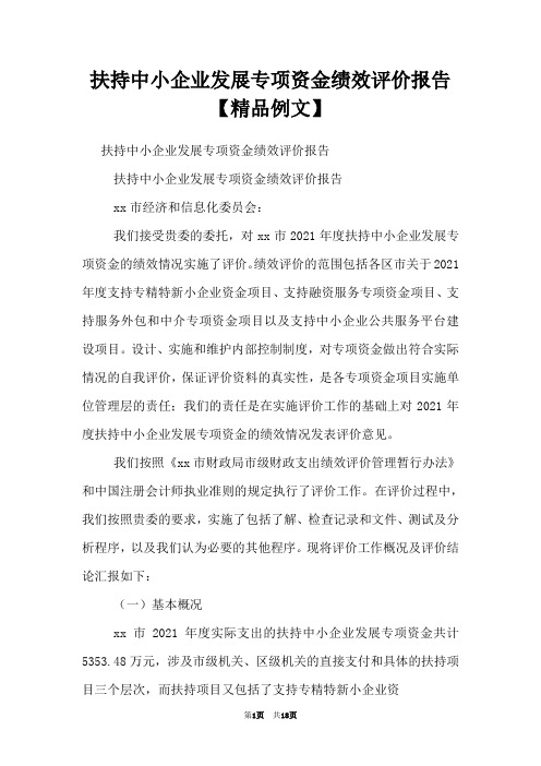 扶持中小企业发展专项资金绩效评价报告【精品例文】