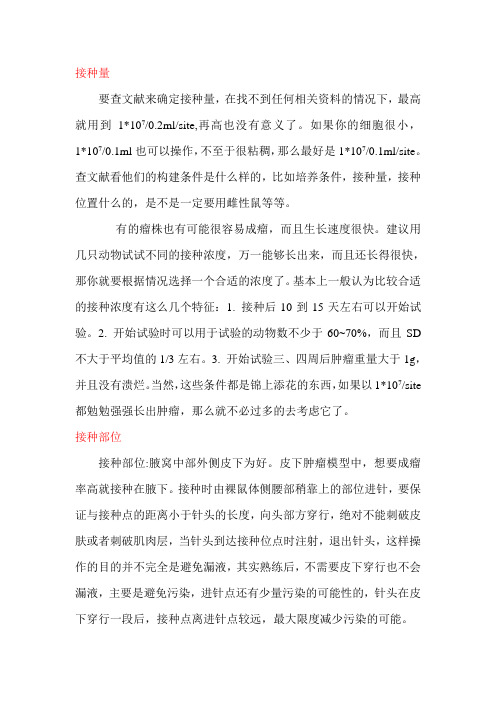 裸鼠荷瘤实验