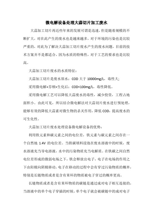 微电解设备处理大蒜切片加工废水