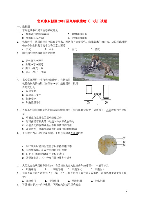 北京市东城区2018届九年级生物5月统一测试(一模,含答案)试题