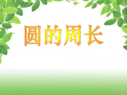 圆的周长
