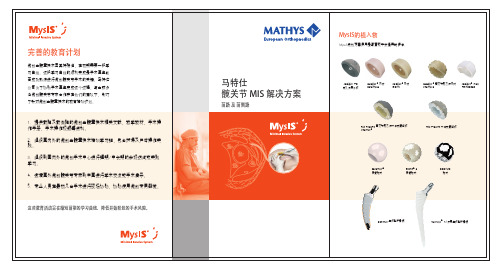 MIS 方案介绍