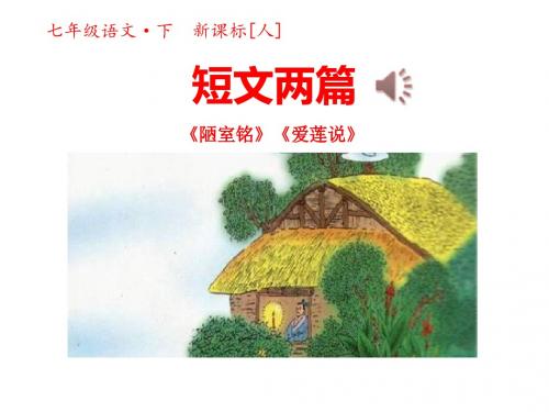 短文两篇《陋室铭》《爱莲说》PPT优秀课件2