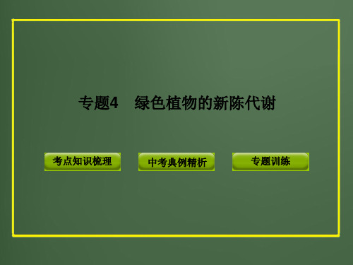 中考科学总复习专题复习资料专题4　绿色植物的新陈代谢（PPTWORD版）课件