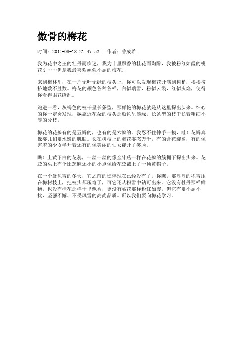 【初高中作文】傲骨的梅花