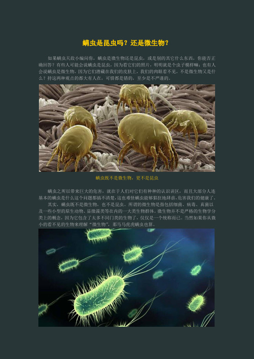 螨虫是昆虫吗？还是微生物？