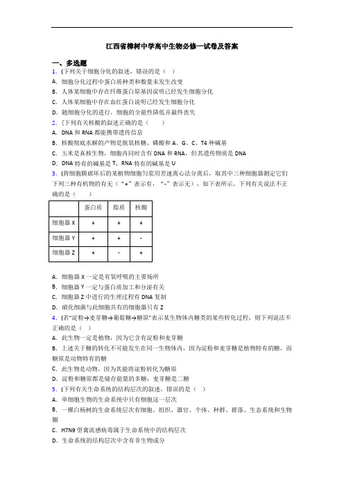 江西省樟树中学高中生物必修一试卷及答案