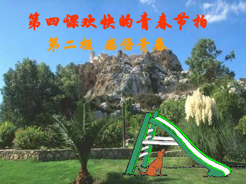 第四课 欢快的青春节拍 PPT课件