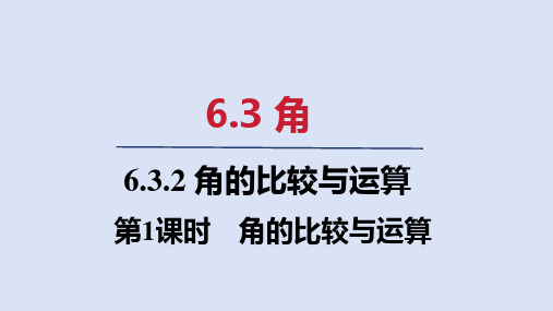 人教七年级数学上册第六章 角的比较与运算