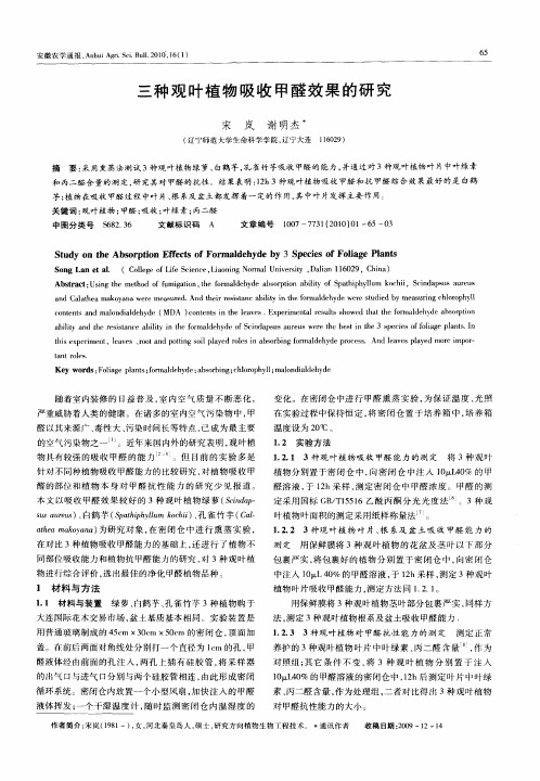三种观叶植物吸收甲醛效果的研究