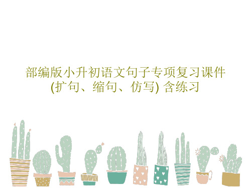 部编版小升初语文句子专项复习课件(扩句、缩句、仿写) 含练习共31页