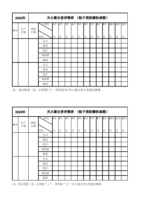 灭火器自查详情表